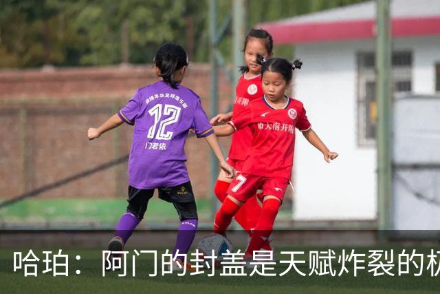 哈珀：阿门的封盖是天赋炸裂的极限防守 一百万个回合才可能见1次